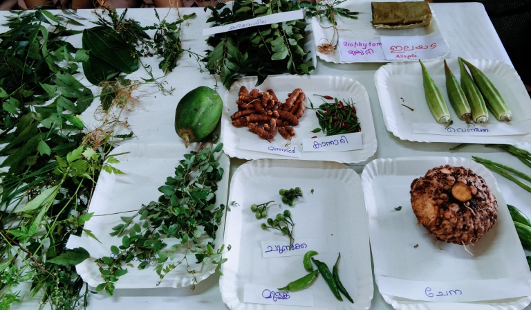 Karkkidaka Food Fest 