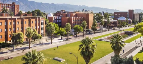 ua-arizona-banner-av-school