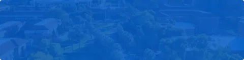 International Collaboration Contact BG