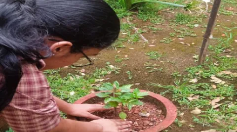 Amrita Vidyalayam Vatakara Observes World Environment Day 2025