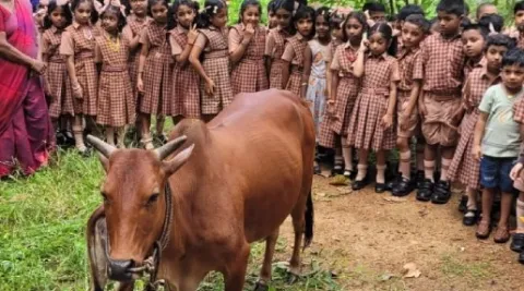 celebration-of-world-milk-day-at-amrita-vidyalayam-thiruvalla