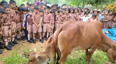 celebration-of-world-milk-day-at-amrita-vidyalayam-thiruvalla