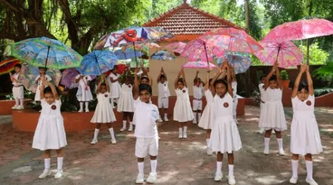 umbrella-day-celebration