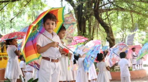 umbrella-day-celebration
