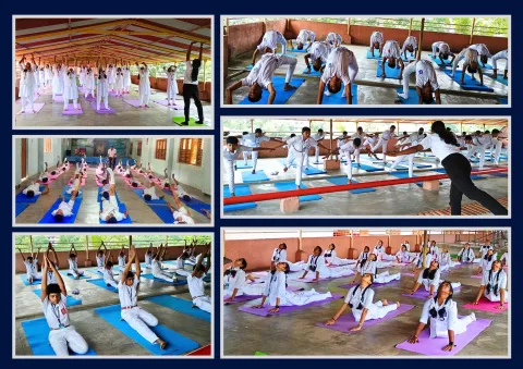 yoga-day-ptta
