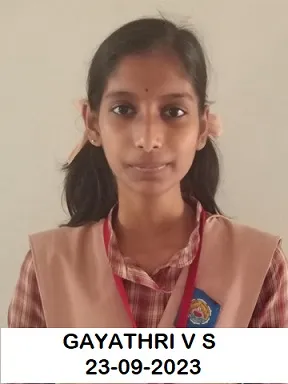Amrita Vidyalayam Kodungallur Celebrates Outstanding XII Results