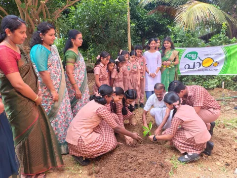 World Environment Day Celebration in our school
