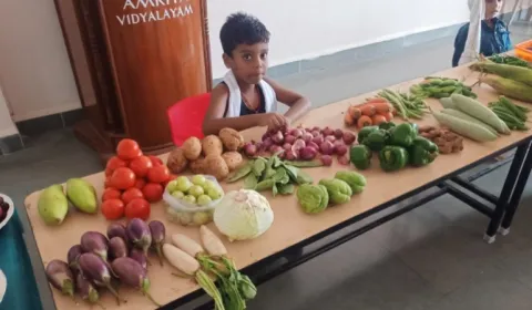 KG Kids Celebrate Fruits and Vegetables Day 2024 - Kirumampakkam