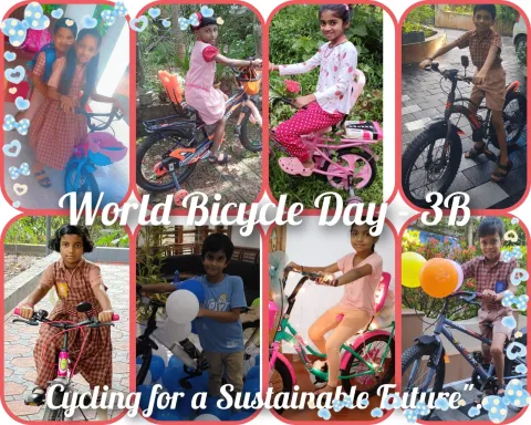 World Bicycle Day Celebration 2025 - Kuthuparamba 