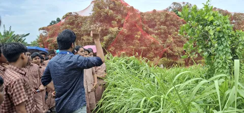Field Trip to Sugar Cane Seed Farm - Pandalam