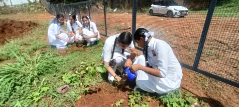 World Environment Day  2025- Cheruthuruthy