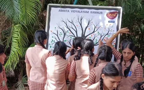 Environment Day Report at Amrita Vidhyalayam kakkad