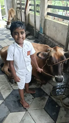 Milk Day Celebration 2025 - Chavakkad
