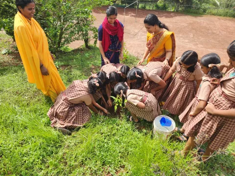 World Environment Day Celebration 2025 - Kanhangad