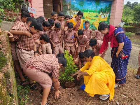 World Environment Day Celebration 2025 - Kanhangad